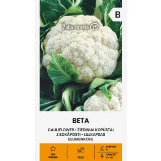 Compra COLIFLOR BETA (1 gr. - Carca de 260 Semillas). en la tienda online Fito Agrícola