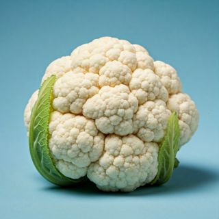 Compra COLIFLOR BROMHA F1 (5.000 Semillas) en la tienda online Fito Agrícola