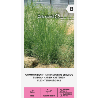 Compra COMMON BENT (1 gr. - Cerca de 17.000 Semillas). en la tienda online Fito Agrícola