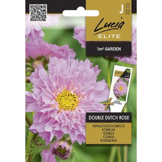 Compra COSMOS DOBLE HOLANDÉS ROSA (1 gr. - Cerca de 190 Semillas). en la tienda online Fito Agrícola