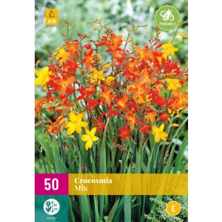 Compra CROCOSMIA MIX XXL en la tienda online Fito Agrícola