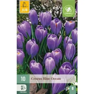 Compra CROCUS BLUE OCEAN en la tienda online Fito Agrícola