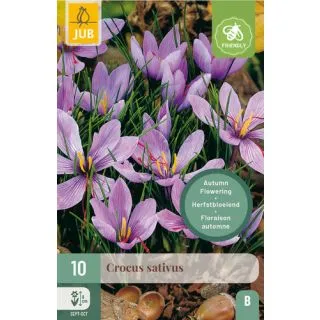 Compra CROCUS SATIVUS en la tienda online Fito Agrícola