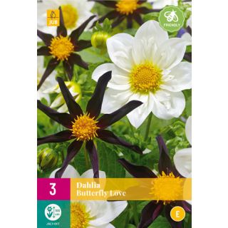 Compra DALIA BUTTERFLY LOVE XXL en la tienda online Fito Agrícola