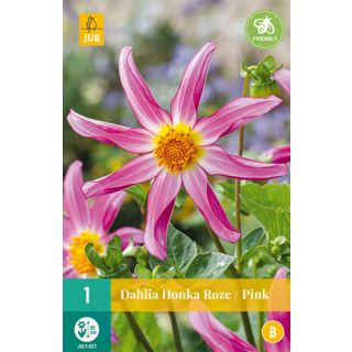 Compra DALIA HONKA PINK en la tienda online Fito Agrícola