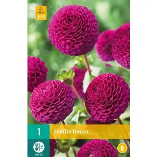 Compra DALIA ROCCO en la tienda online Fito Agrícola