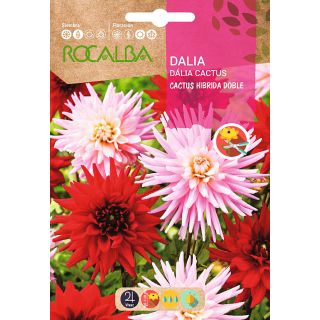 Compra DALIA CACTUS DOBLE F1 (0,5 gr.). en la tienda online Fito Agrícola