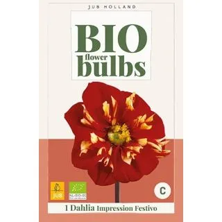 Compra DALIA IMPRESSION FESTIVO BIO en la tienda online Fito Agrícola