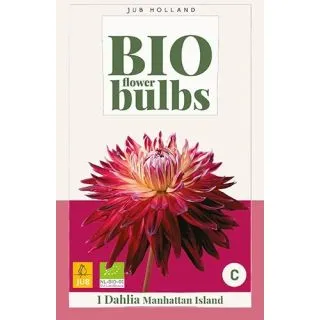 Compra DALIA MANHATTAN ISLAND BIO en la tienda online Fito Agrícola