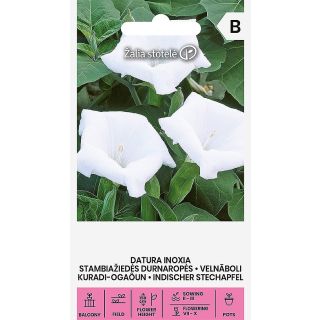 Compra DATURA INOXIA (10 Semillas). en la tienda online Fito Agrícola