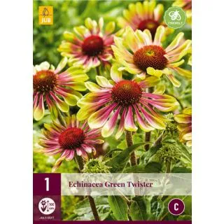 Compra ECHINACEA GREEN TWISTER en la tienda online Fito Agrícola
