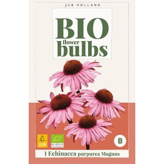 Compra ECHINACEA PURPUREA MAGNUS BIO en la tienda online Fito Agrícola