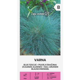 Compra FESTUCA AZUL DE VARNA (0,5 gr. - Cerca de 450 Semillas). en la tienda online Fito Agrícola