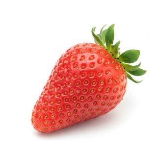 Compra FRESA MARA DES BOIS MS4 en la tienda online Fito Agrícola