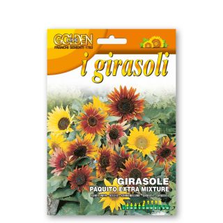 Compra GIRASOL MINIATURA PAQUITO MIX (10 gr.). en la tienda online Fito Agrícola