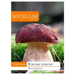Compra MICELIO BOLETO PINÍCOLA Borowik sosnowy (10 gr.). en la tienda online Fito Agrícola