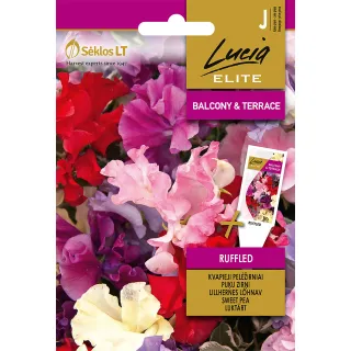 Compra GUISANTE DE OLOR RIZADOS (2 gr. - Cerca de 24 Semillas). en la tienda online Fito Agrícola