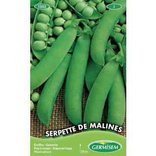 Compra GUISANTE SERPETTE DE MALINES (500 gr.) en la tienda online Fito Agrícola
