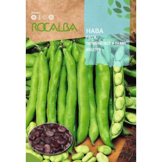 Compra HABA EXTRAPRECOZ GRANO VIOLETA (5 Kgr.). en la tienda online Fito Agrícola