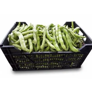 Compra HABA MS6 en la tienda online Fito Agrícola