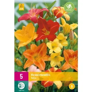 Compra HEMEROCALLIS MIX XXL en la tienda online Fito Agrícola