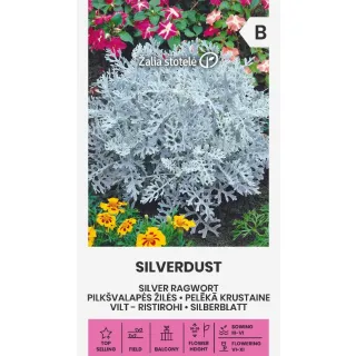 Compra HIERBA CANA PLATEADA POLVO DE PLATA (0,2 gr. - Cerca de 350 Semillas). en la tienda online Fito Agrícola