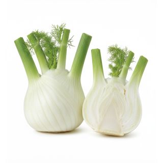 Compra HINOJO WADENROMEN (50 gr.). en la tienda online Fito Agrícola