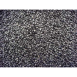 Compra JUDÍA BLACK TURTLE (1.000 Semillas) en la tienda online Fito Agrícola