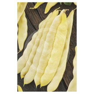 Compra JUDIA CAPITANO (1 Kgr.). en la tienda online Fito Agrícola