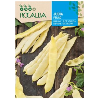 Compra JUDIA MARAVILLA DE VENECIA GRANO NEGRO (5 Kgr.). en la tienda online Fito Agrícola