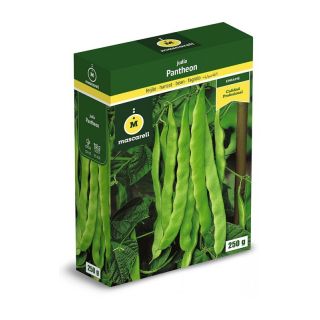 Compra JUDÍA PANTHEON (25 Kgr.). en la tienda online Fito Agrícola