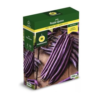 Compra JUDÍA PURPLE QUEEN (25 Kgr.). en la tienda online Fito Agrícola