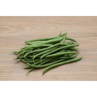 Compra JUDÍA AGATHA (1.000 Semillas) en la tienda online Fito Agrícola