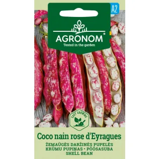Compra JUDÍA COCO NAIN ROSE D'EYRAGUES (8 gr.). en la tienda online Fito Agrícola
