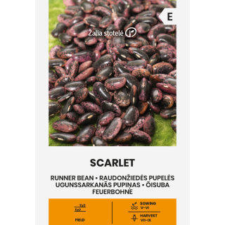 Compra JUDÍA SCARLET (8 gr.). en la tienda online Fito Agrícola