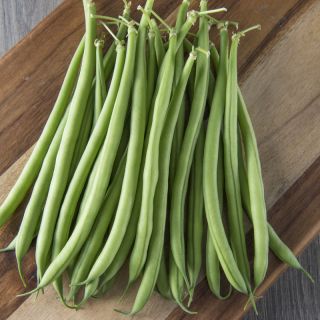 Compra JUDÍA KRYPTON (1000 Semillas). en la tienda online Fito Agrícola