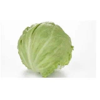 Compra LECHUGA KUENKA Pildorada (25.000 Semillas) en la tienda online Fito Agrícola