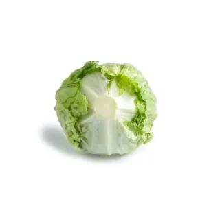 Compra LECHUGA ADANAS RZ Pildorada (5.000 Semillas). en la tienda online Fito Agrícola