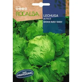 Compra LECHUGA BATAVIA RUBIA "GRADO" Pildorada (50 Semillas). en la tienda online Fito Agrícola