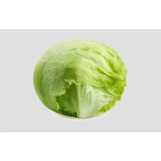 Compra LECHUGA COVADONGA Pildorada (5.000 Semillas) en la tienda online Fito Agrícola