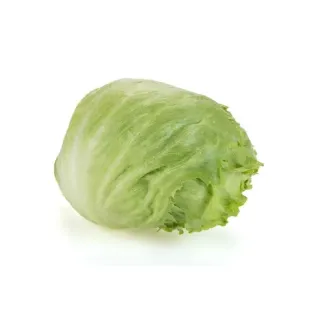 Compra LECHUGA FRIENDLINAS RZ Pildorada (5.000 Semillas). en la tienda online Fito Agrícola