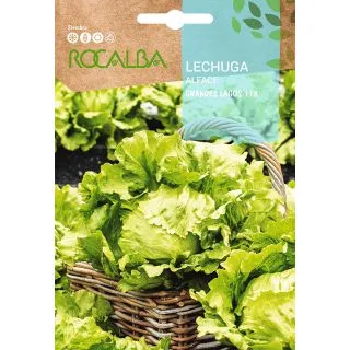 Compra LECHUGA GRANDES LAGOS 118 (6 gr.). en la tienda online Fito Agrícola