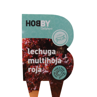 Compra LECHUGA MULTIHOJAS ROJA HOBBY FRESH M6 en la tienda online Fito Agrícola