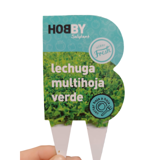 Compra LECHUGA MULTIHOJAS VERDE HOBBY FRESH M11 en la tienda online Fito Agrícola