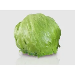 Compra LECHUGA NAHIFA Pildorada (10.000 Semillas) en la tienda online Fito Agrícola