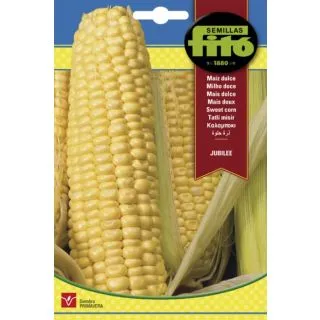Compra MAÍZ DULCE JUBILEE (100 gr.) en la tienda online Fito Agrícola