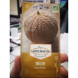 Compra MELÓN SUCRIN DE TOURS AB (15 Semillas). en la tienda online Fito Agrícola
