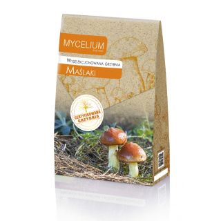 Compra MICELIO BOLETOS MANTEQUILLA Suillus sp. (120 c.c.). en la tienda online Fito Agrícola
