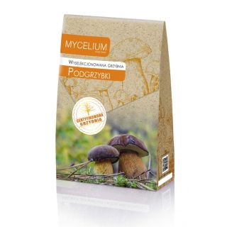 Compra MICELIO DE BOLETOS COMESTIBLES (incluye boleto bayo, entre otros) (120 c.c.). en la tienda online Fito Agrícola