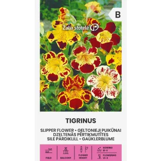 Compra MIMULUS TIGRINUS (0,1 gr. - Cerca de 2200 Semillas). en la tienda online Fito Agrícola
